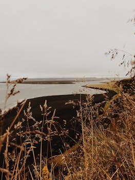 暮色渐深，黑色沙滩上青草萋萋，构成一片神秘而宁静的景色