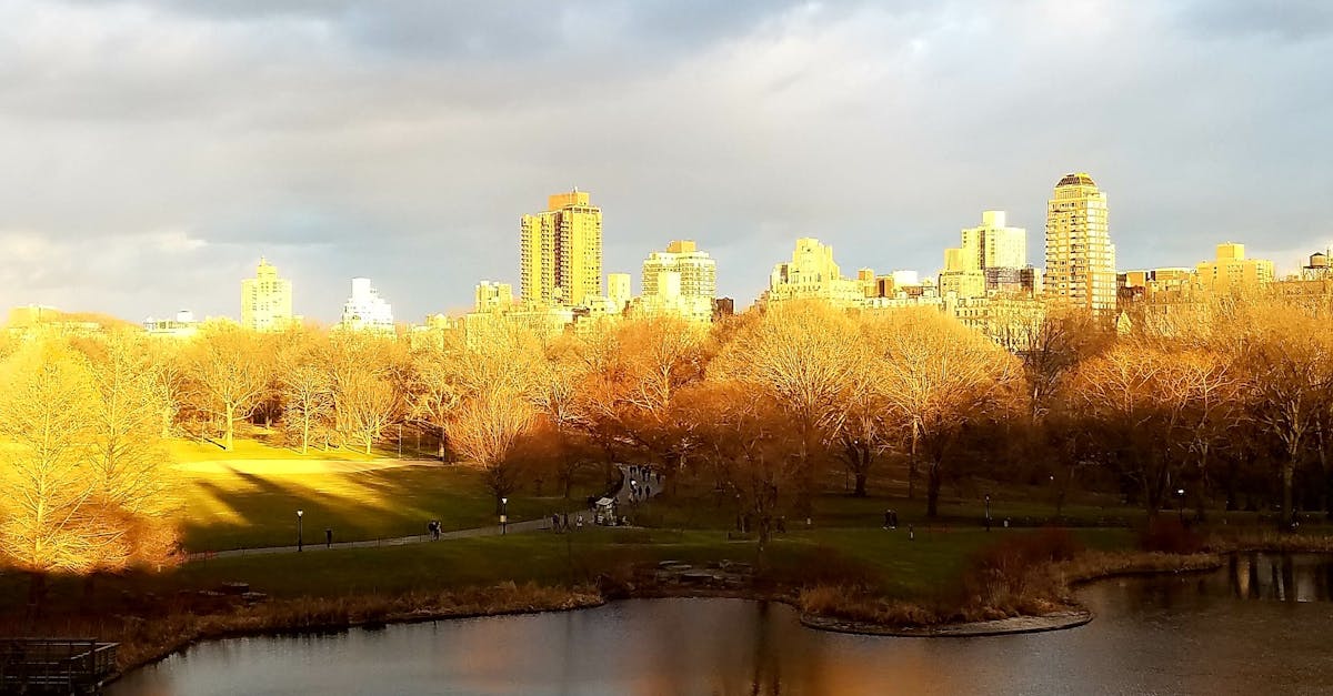 Free stock photo of Sunset at Central Park