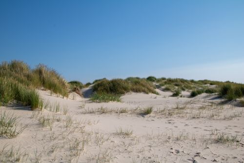 Free Serene sandy dunes under a vibrant blue sky at Amrum beach, perfect for nature and travel themes. Stock Photo