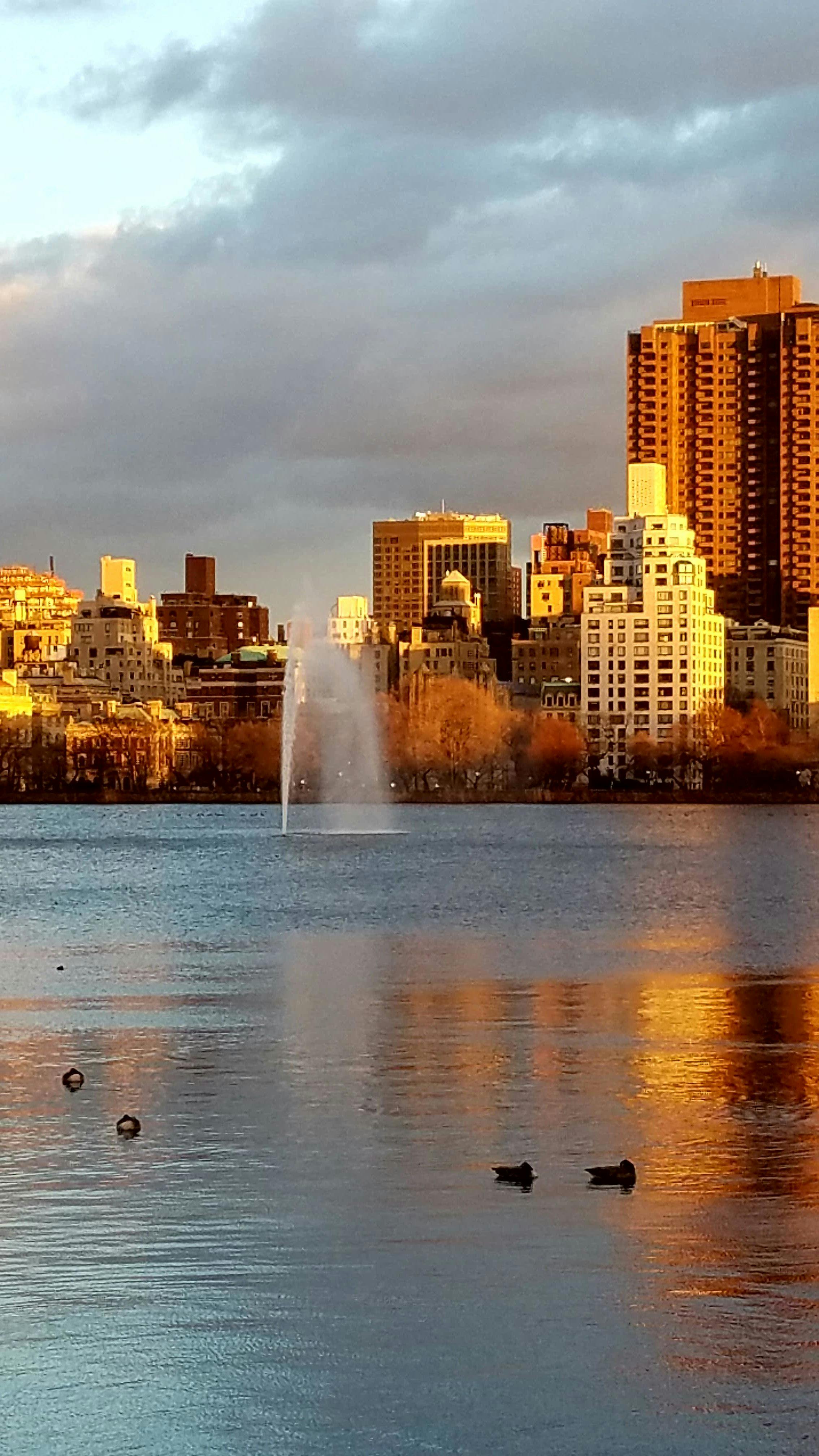Free stock photo of amazing, Fountain at Central Park at sunset, Must see