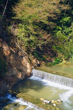 Beautiful waterfall in Giresun, Turkey surrounded by lush vegetation and rocky terrain.