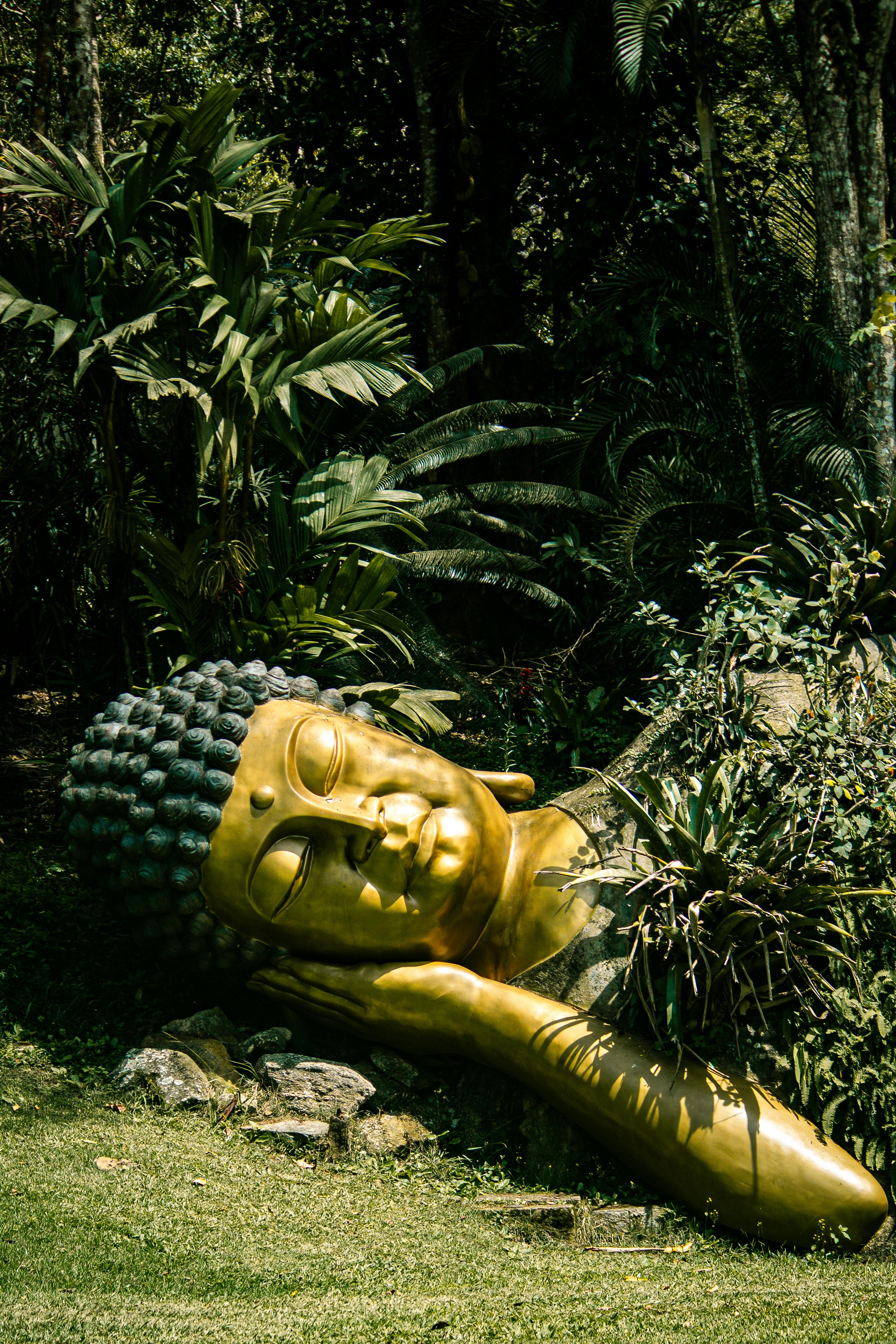 Buddha Statue in Japanese Garden · Free Stock Photo