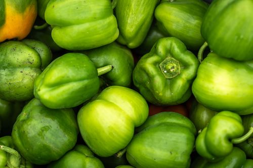 Free Close-up of vibrant green bell peppers showcasing fresh produce. Perfect for healthy eating concepts. Stock Photo