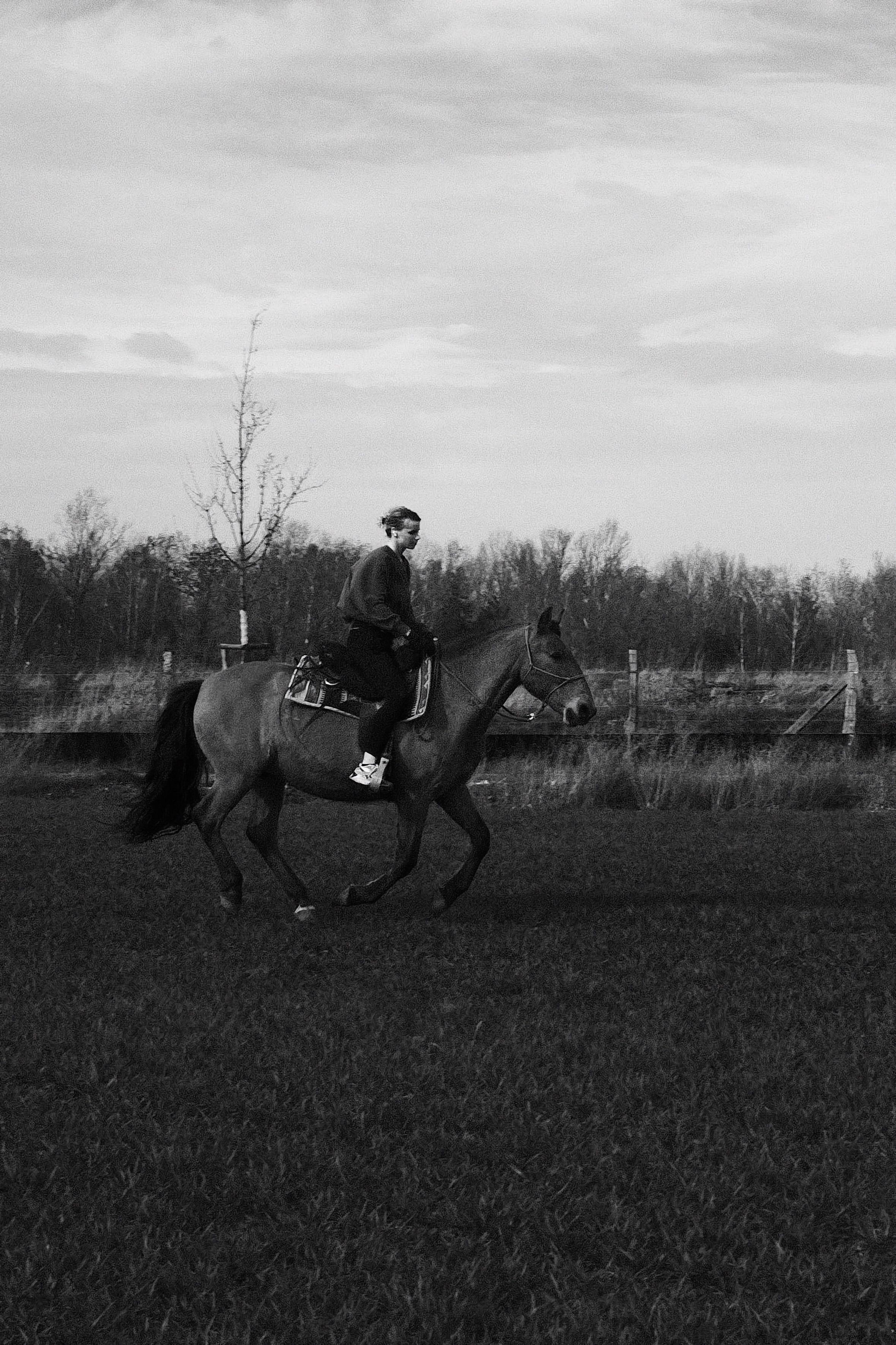 Monochrome Horseback Riding in Open Field · Free Stock Photo