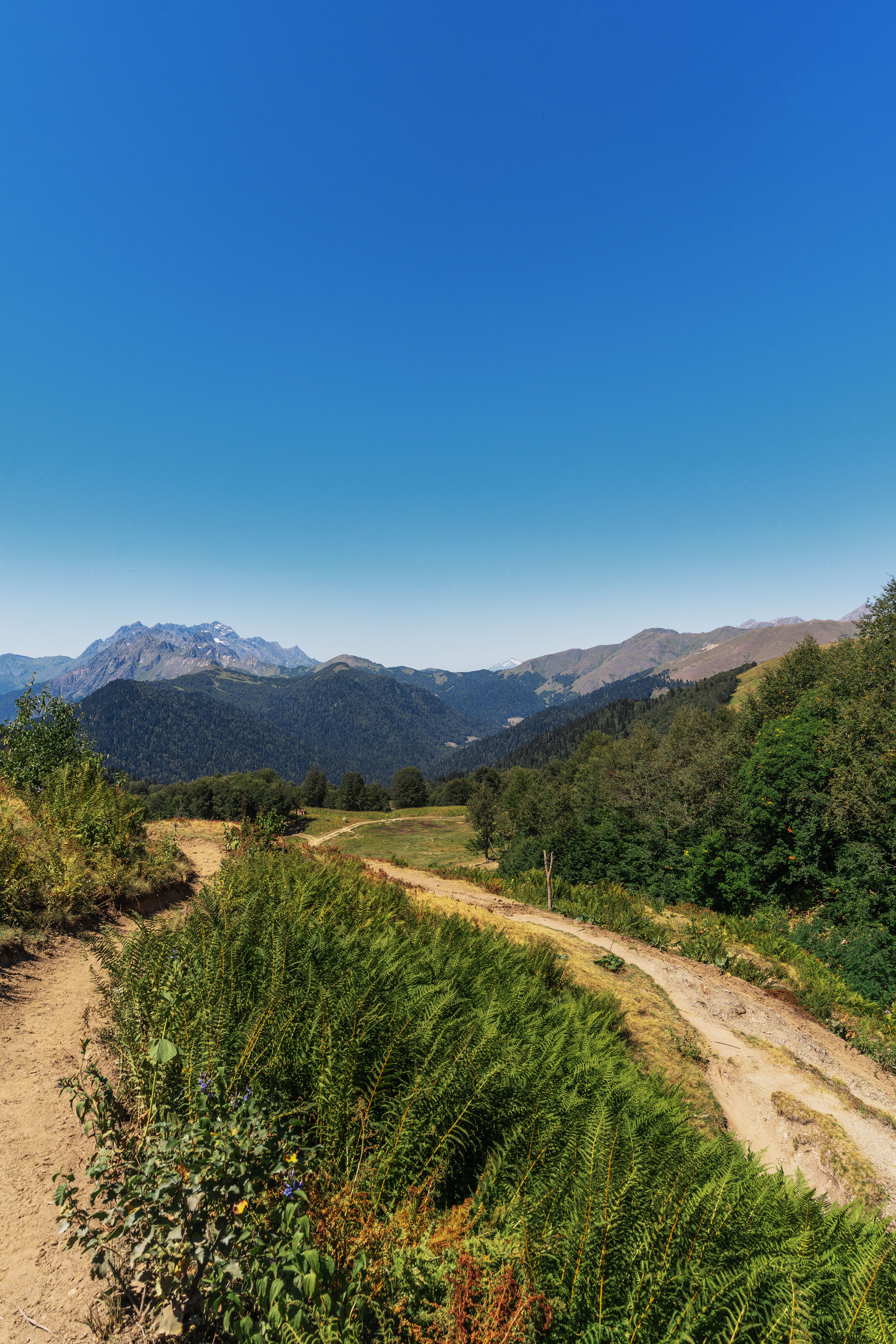 Gîtes ruraux accessibles sans voiture pour randonner autour du Pic Saint-Loup et des Dolomites - illustration