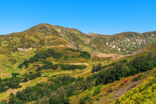 Free Vivid greenery and rolling hills of Гагра on a sunny day, showcasing natural beauty. Stock Photo