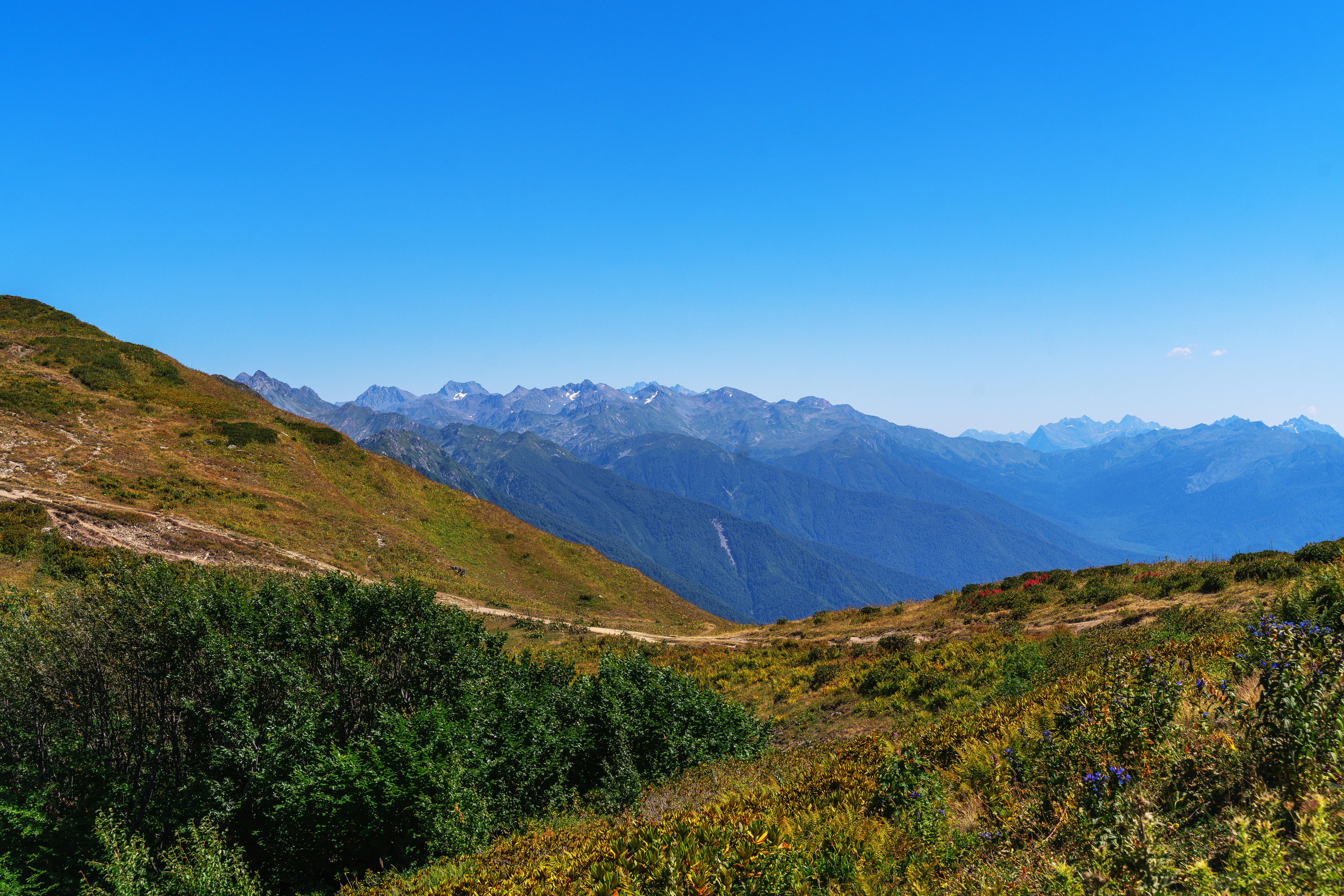 Panorama of a Scenic Mountain Landscape · Free Stock Photo