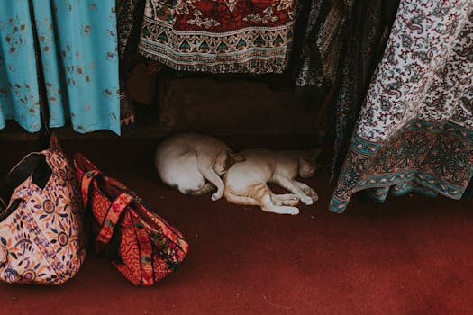 Photo by Kate Trysh