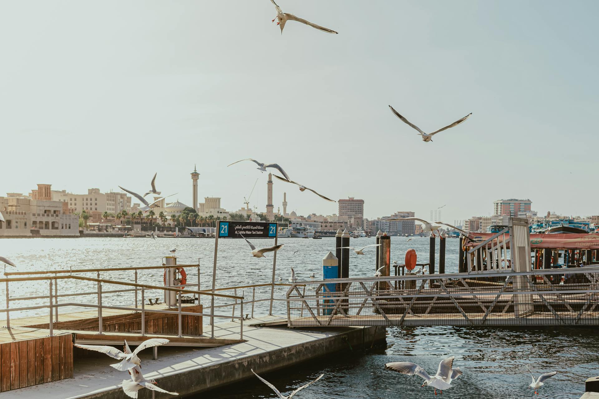 A picturesque view of Dubai Creek featuring seagulls flying over the waterfront. Iconic cultural landmarks in the distance.