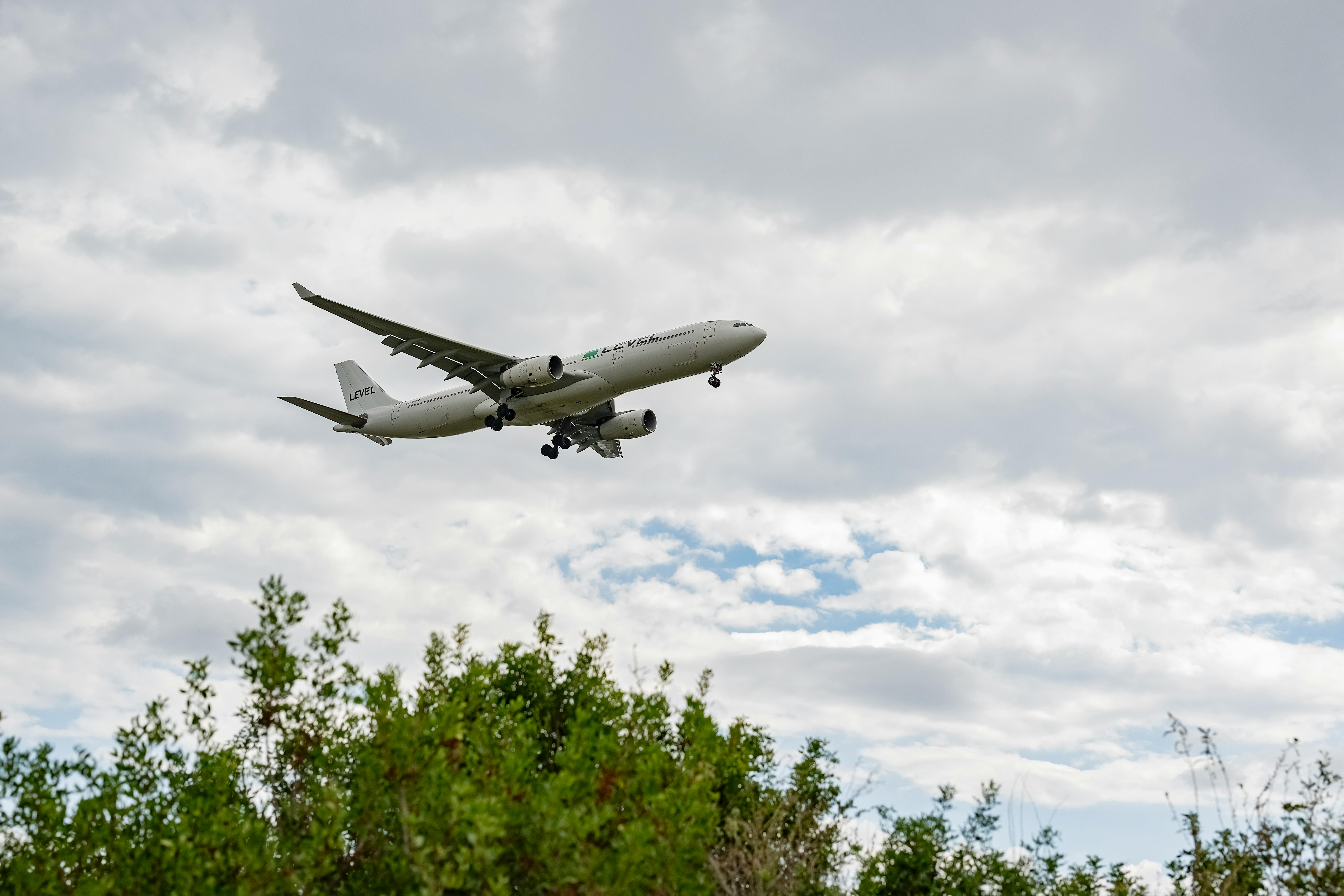 Airport transfers in Kotor