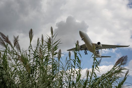 Jet plane descends over lush greenery under a cloudy sky in Barcelona, Spain.