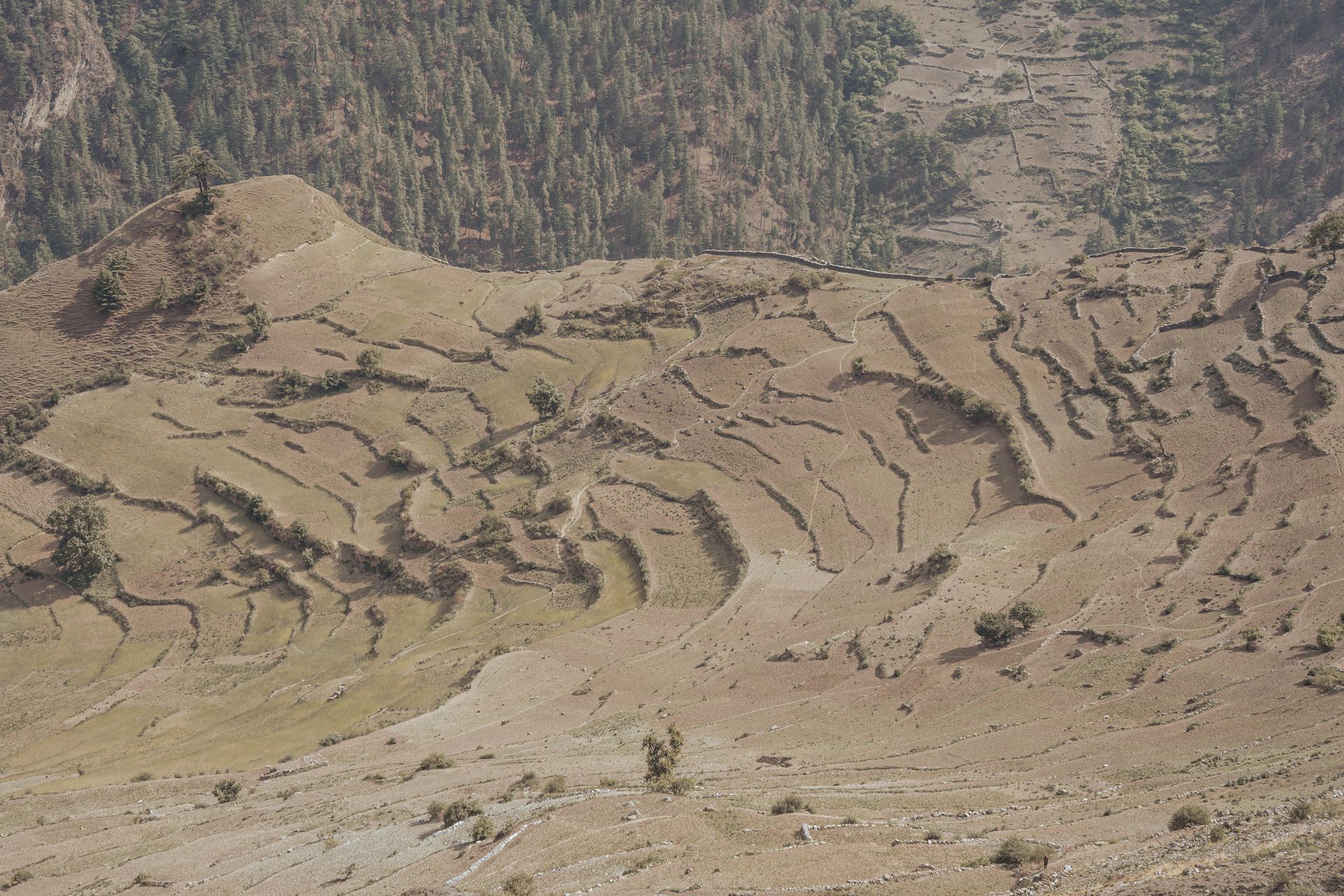 Serene aerial view of terraced mountain slopes showcasing intricate agricultural patterns.