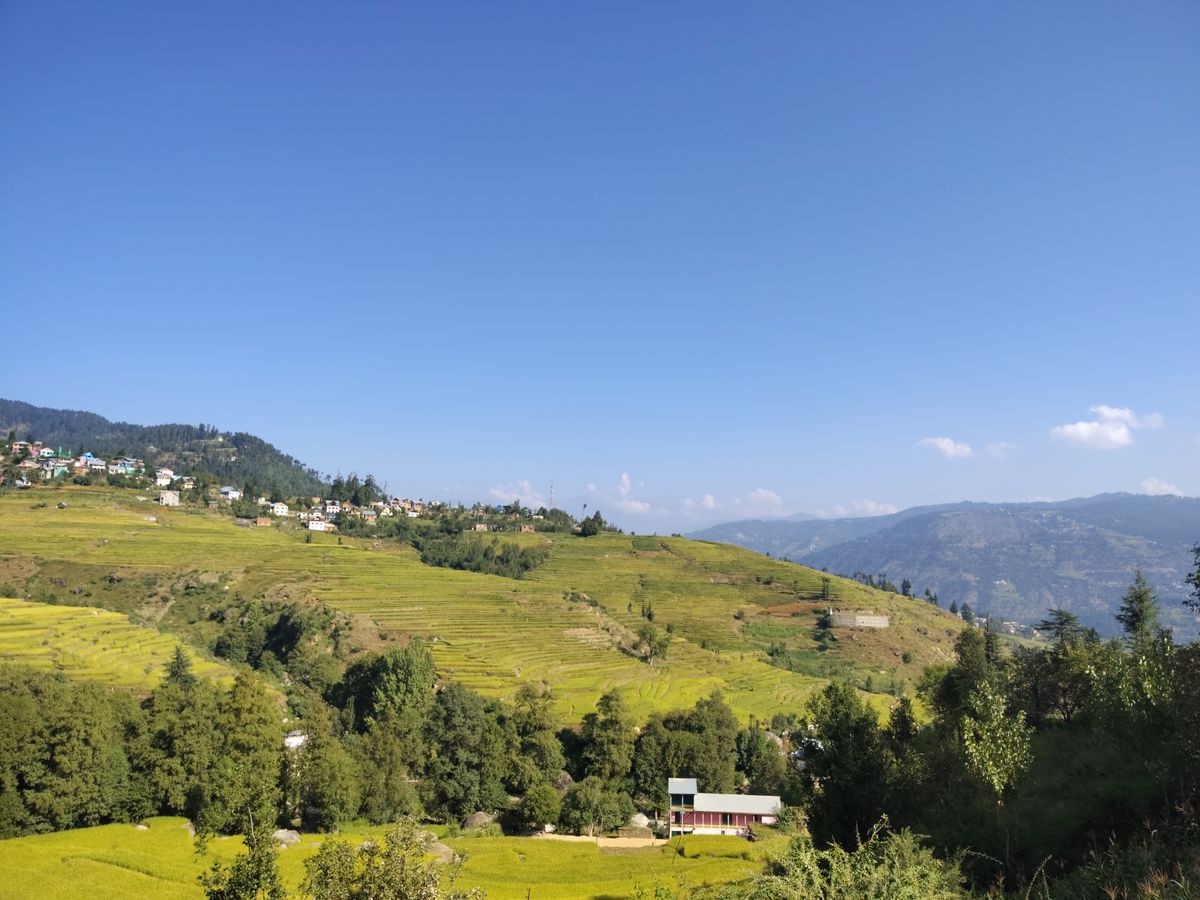 12 Day 100 Hour Yoga Teacher Training Course in Rishikesh, India 2