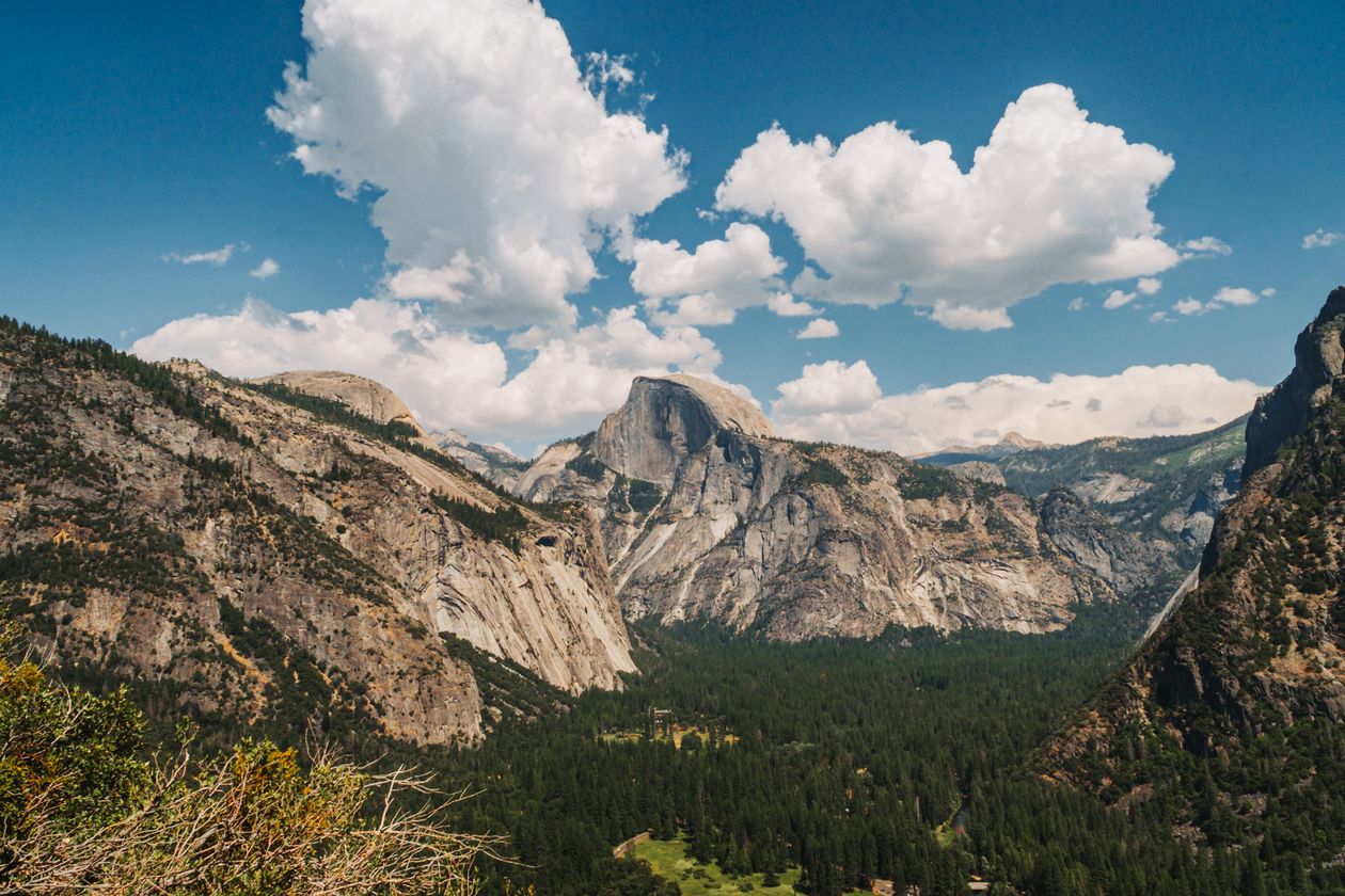 Half Dome rising above the green valley floor of Yosemite National Park