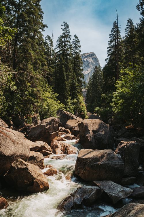 Free Stunning landscape of a river flowing through rocks and towering trees in Yosemite Valley. Stock Photo
