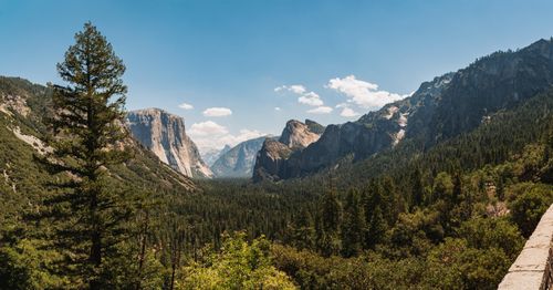 Free Scenic view of Yosemite Valley featuring El Capitan under a clear blue sky. Stock Photo