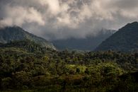 Scenic view of lush green mountains shrouded in clouds, Bajos del Toro, Costa Rica.