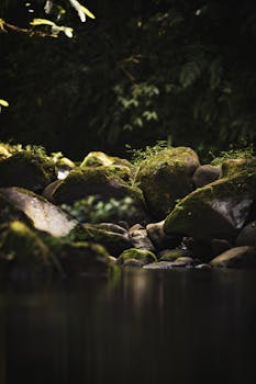 Peaceful scene of moss-covered rocks by a river in Bajos del Toro, Costa Rica.