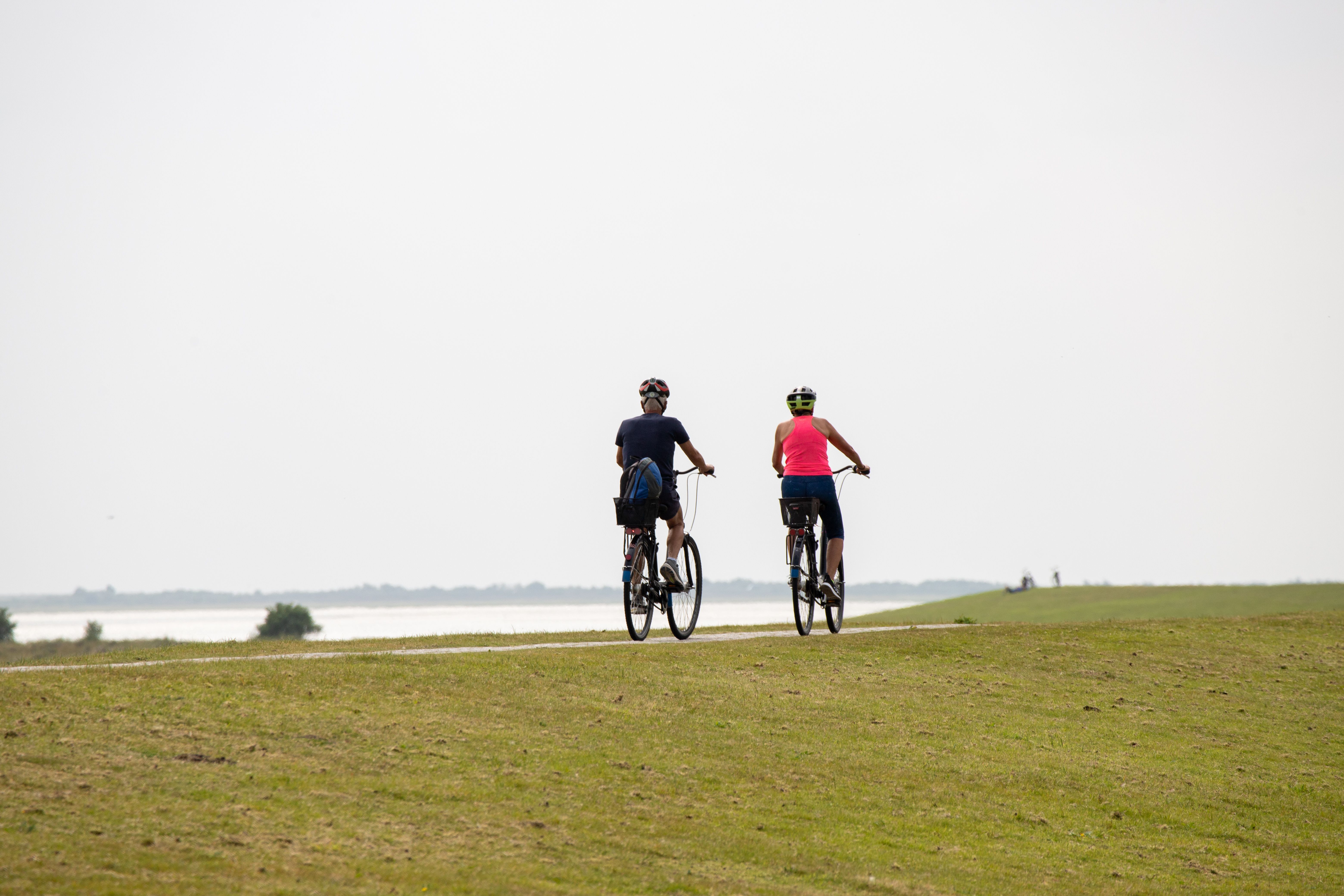 Gruppe auf dem Deichradweg