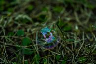 草地上漂浮着充满活力的泡沫与彩虹色的宏观视图