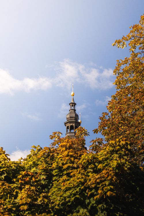 Free A historic tower peeks through vibrant fall foliage under a clear blue sky. Stock Photo
