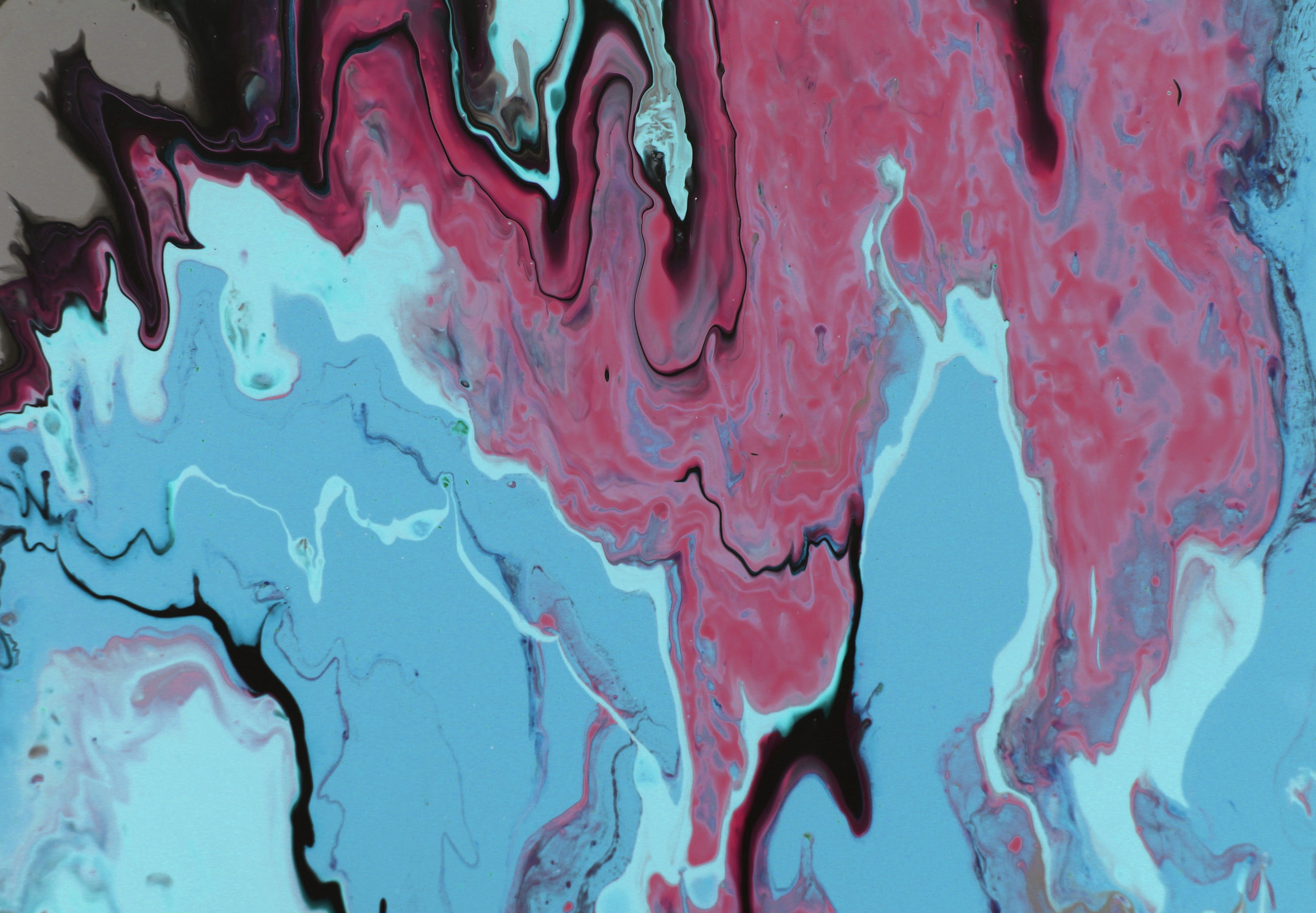 Abstract Fluid Art in Vibrant Blue and Pink · Free Stock Photo