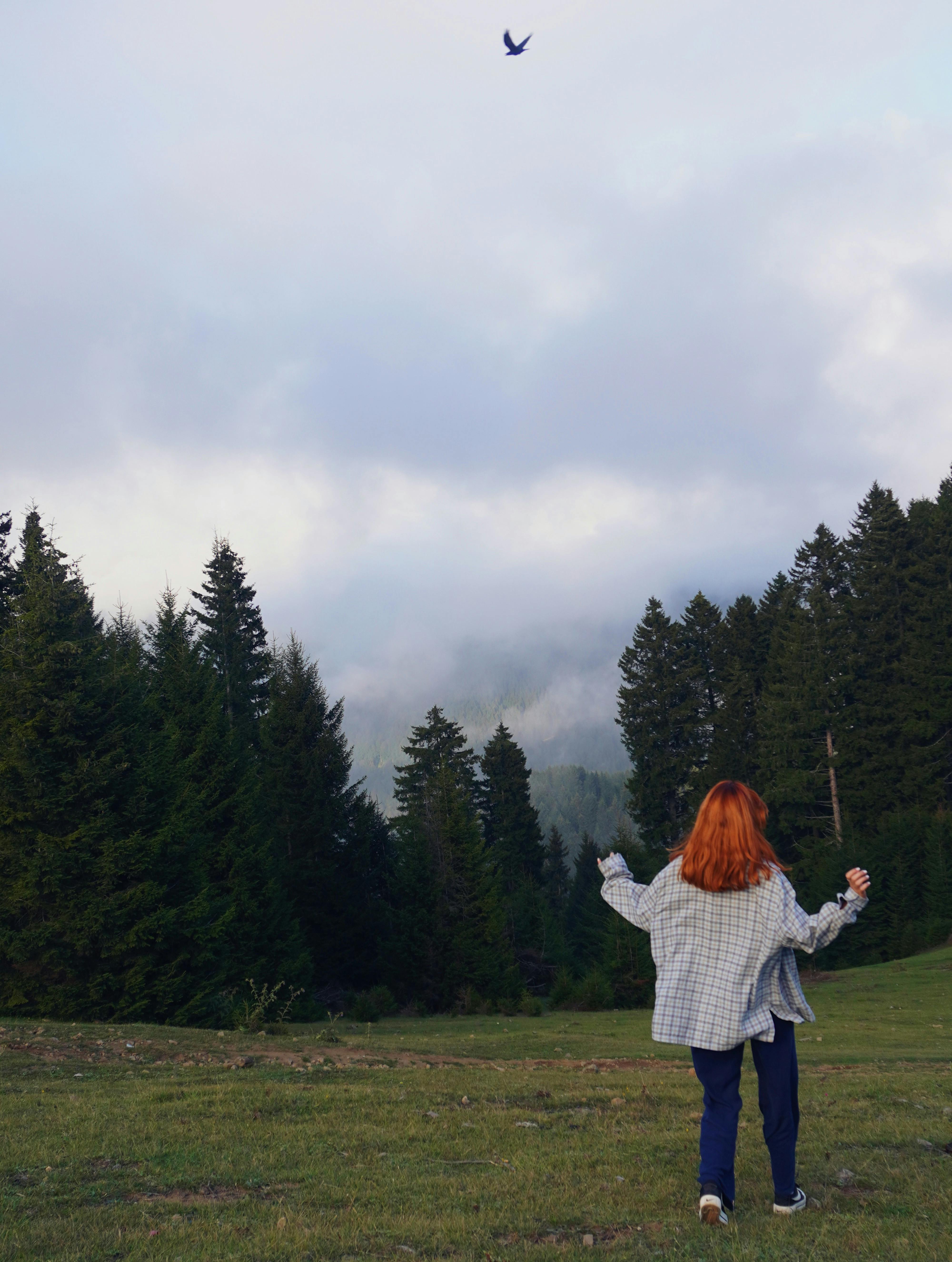 A woman embraces the peaceful landscape of Giresun's lush plateau with misty trees and a soaring bird.