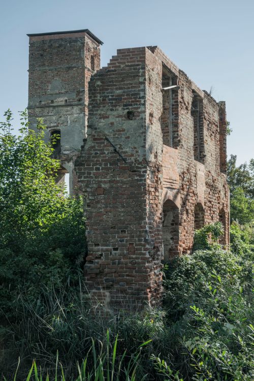 Free Explore ancient ruins surrounded by lush greenery in Smolec, Poland. Stock Photo