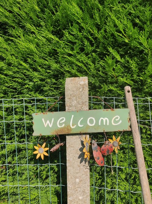 Free Rustic welcome sign with ladybugs and sunflowers against a leafy background. Stock Photo