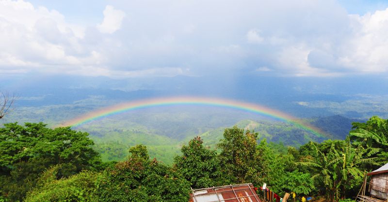 Couleurs Arc-en-Ciel : Guide Déco Complet