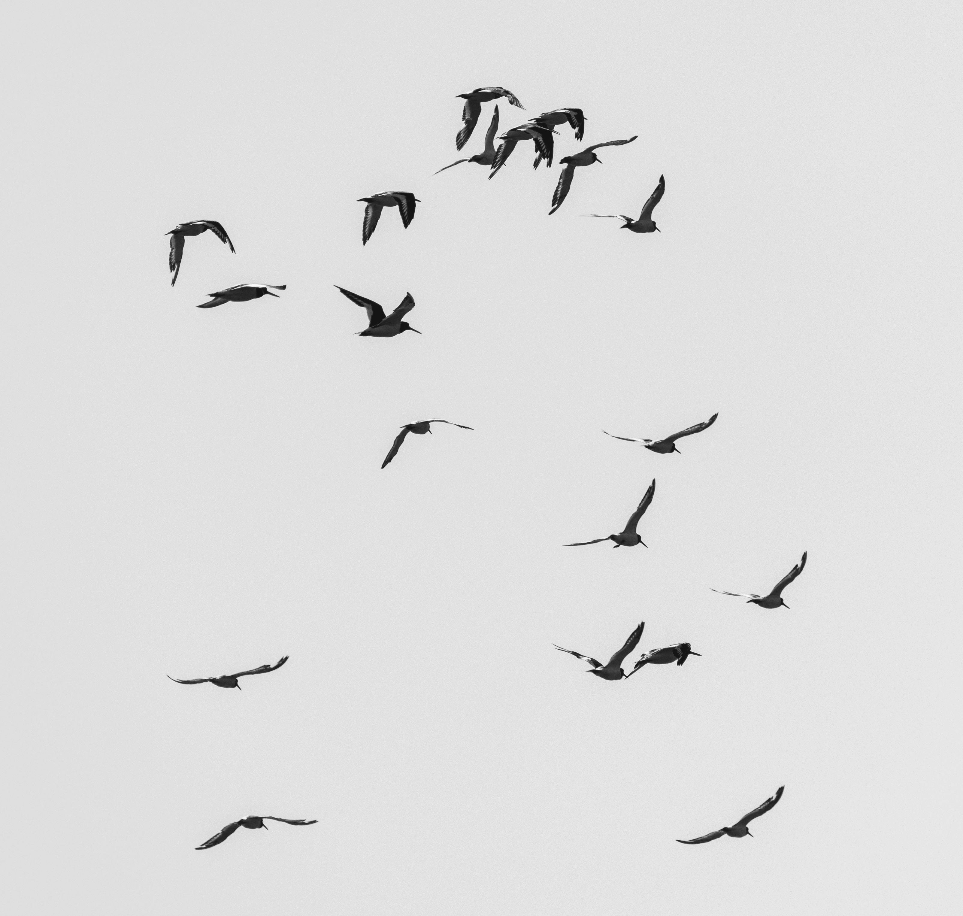 Gratis Fotos de stock gratuitas de aéreo, al aire libre, ala Foto de stock