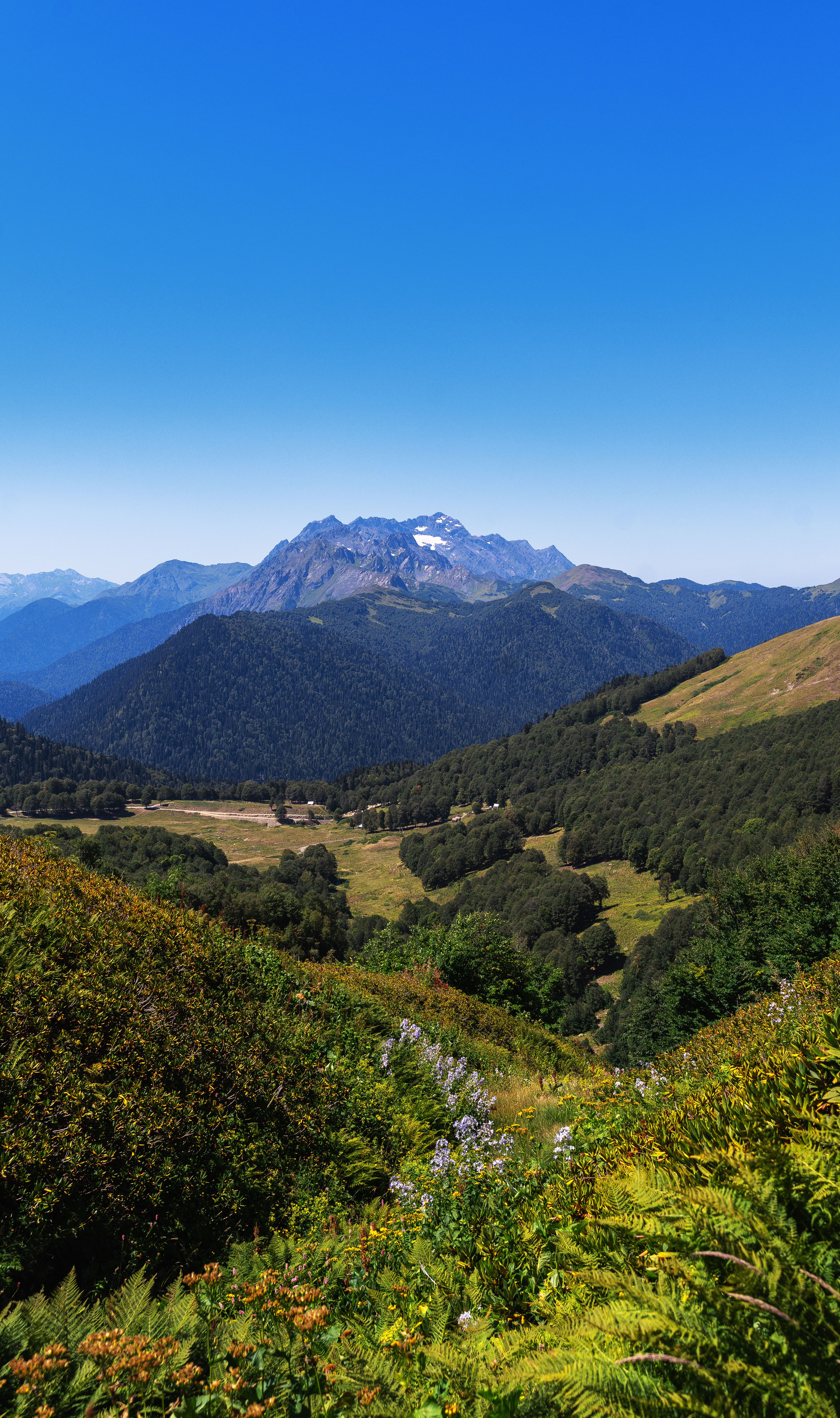 Scenic view of lush greenery and distant mountains under a clear blue sky in Gagra.