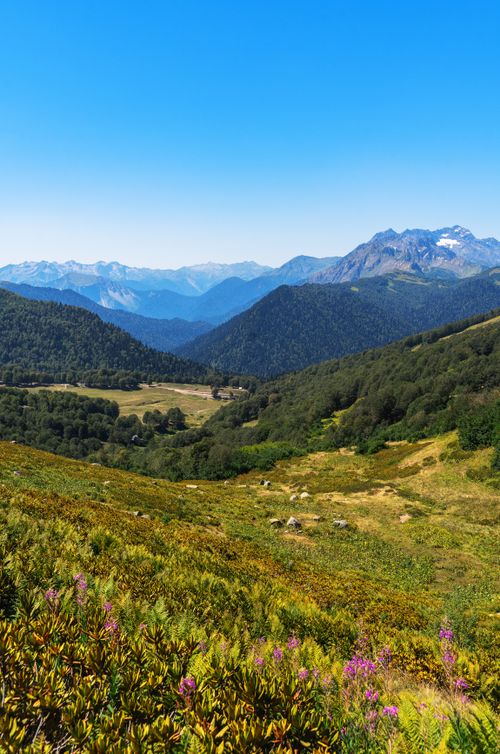 Free Breathtaking view of lush greenery and mountains in Гагра, perfect for nature enthusiasts. Stock Photo