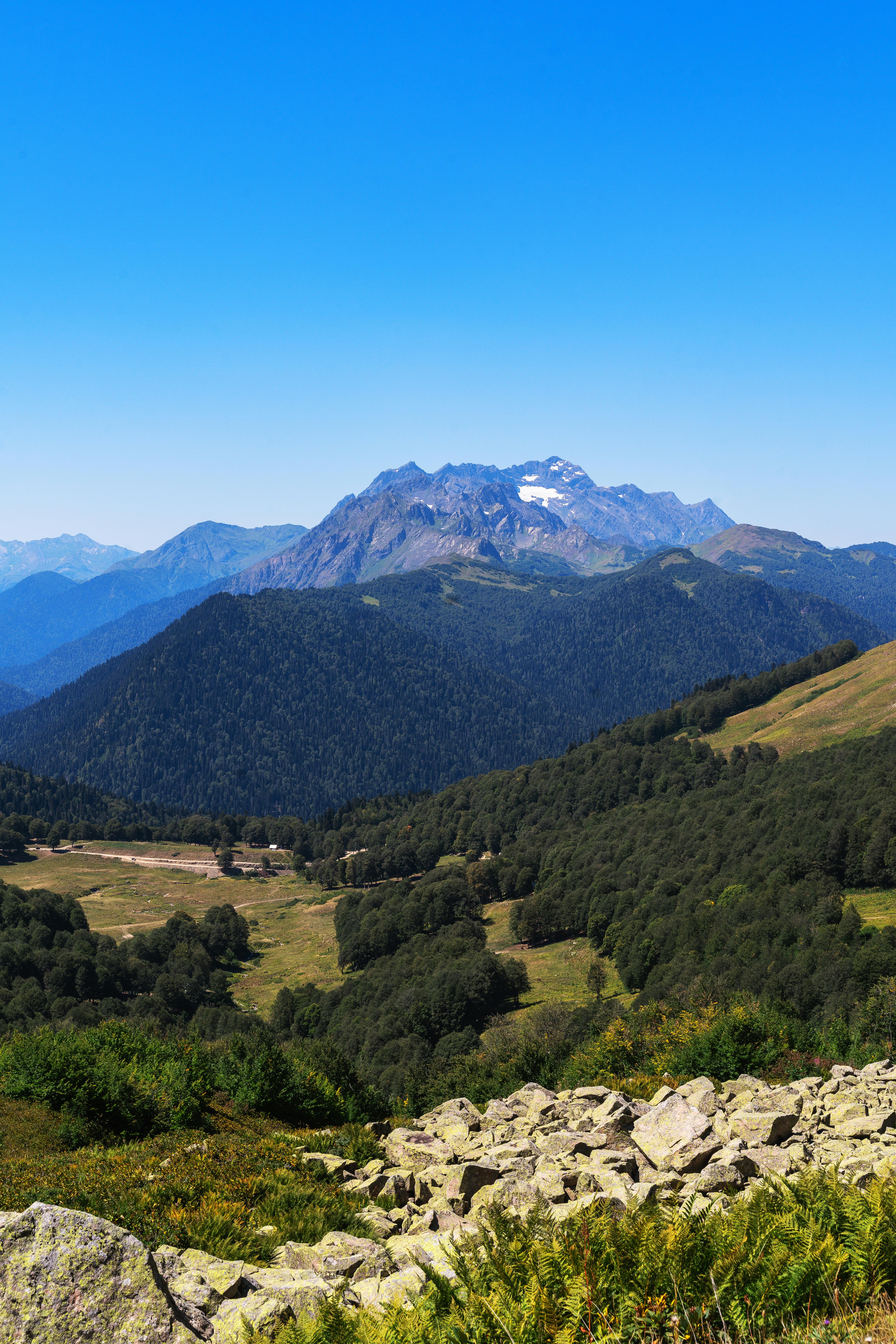 Captivating landscape of lush forests and majestic mountains under a clear blue sky.