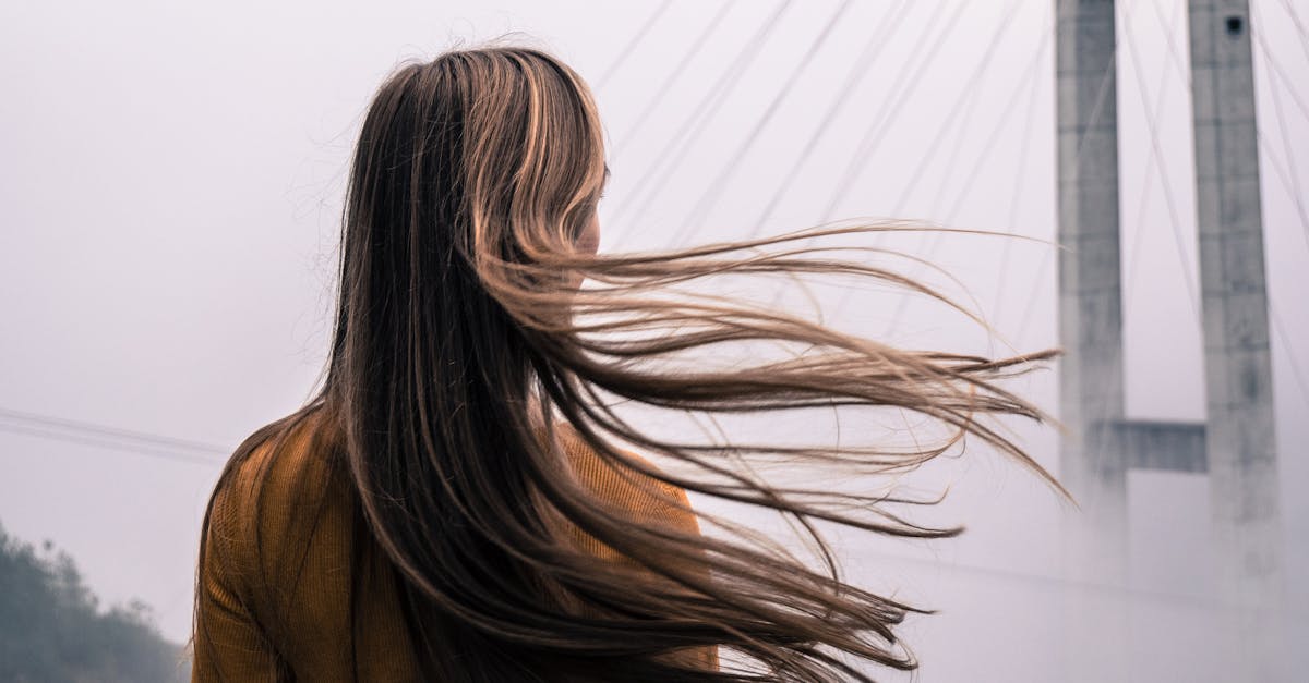 What does PPD free mean in hair color