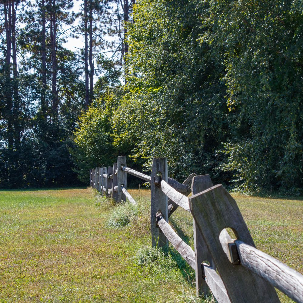 Fence and Decking Painting in Seven Kings — clean edges cut in around trim and sockets