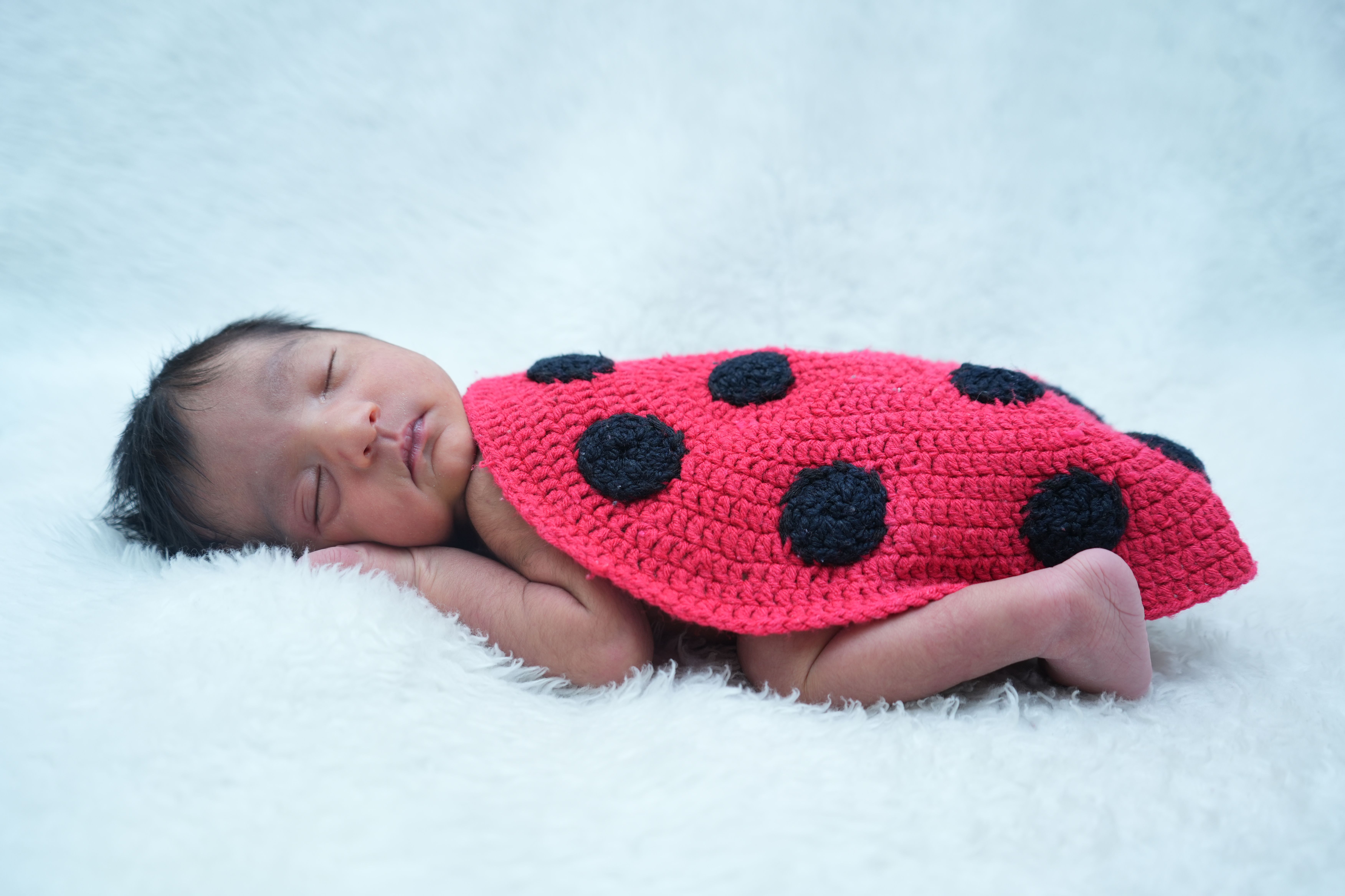 A peaceful newborn baby sleeps on white fur, dressed in a cute ladybug costume