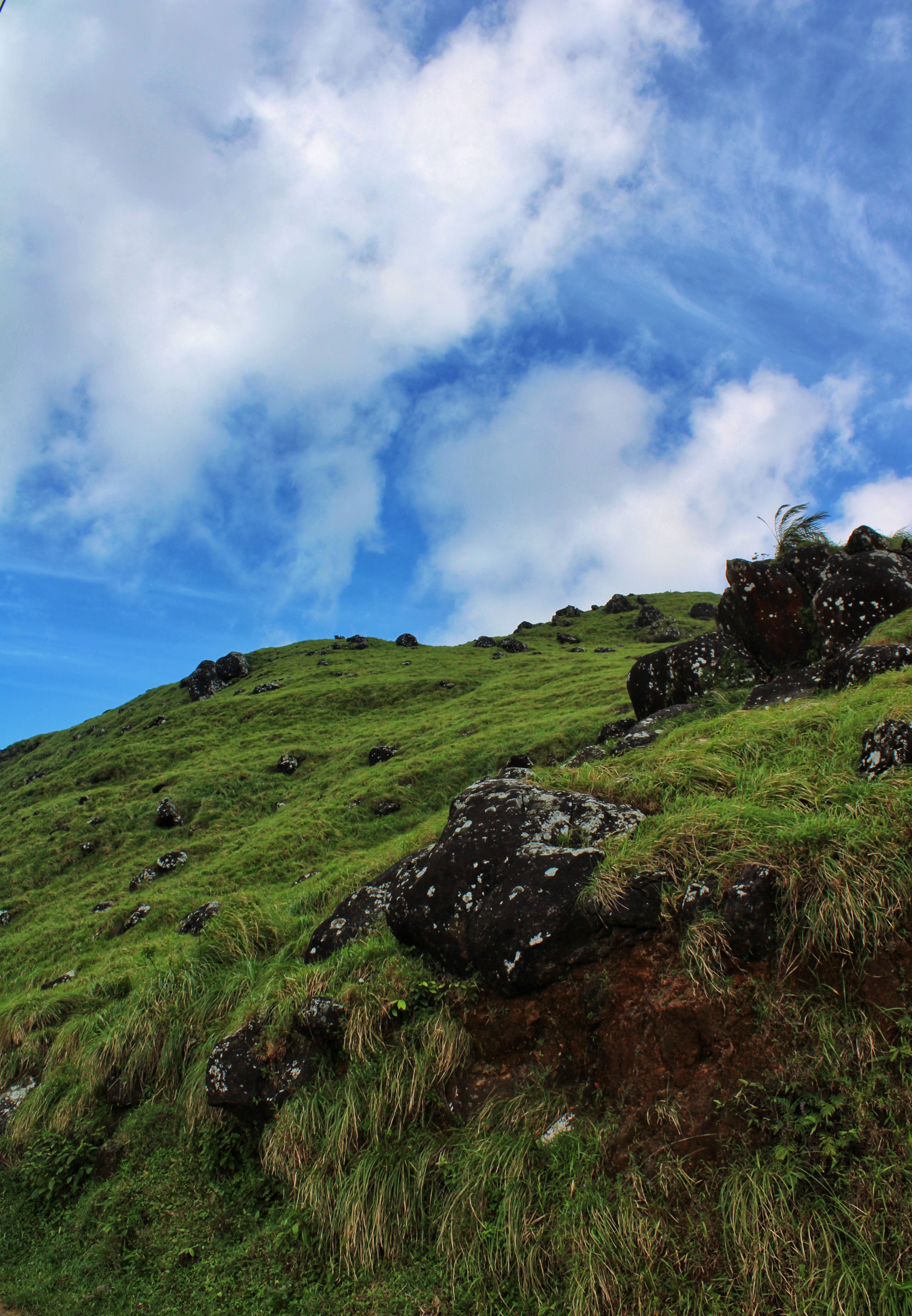 Lush Green Hill under a Vibrant Blue Sky · Free Stock Photo