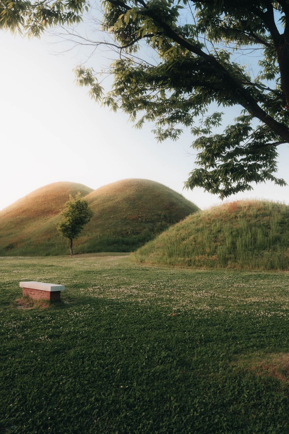 Ancient Burial Mounds in Gyeongju, South Korea · Free Stock Photo