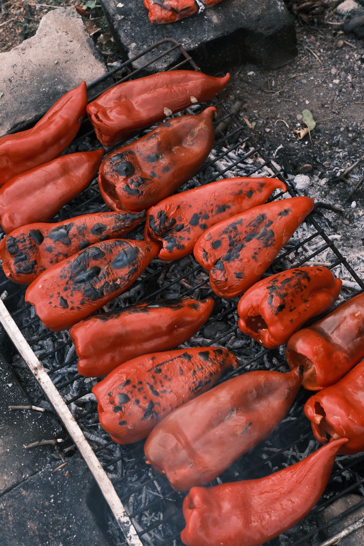 Whole long red peppers with blackened blistered skins roasting on a grate over charcoal