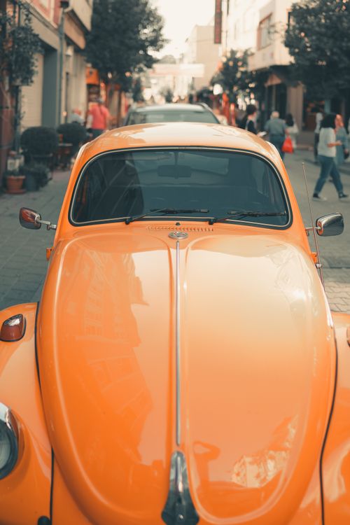 Free orange woswos Stock Photo