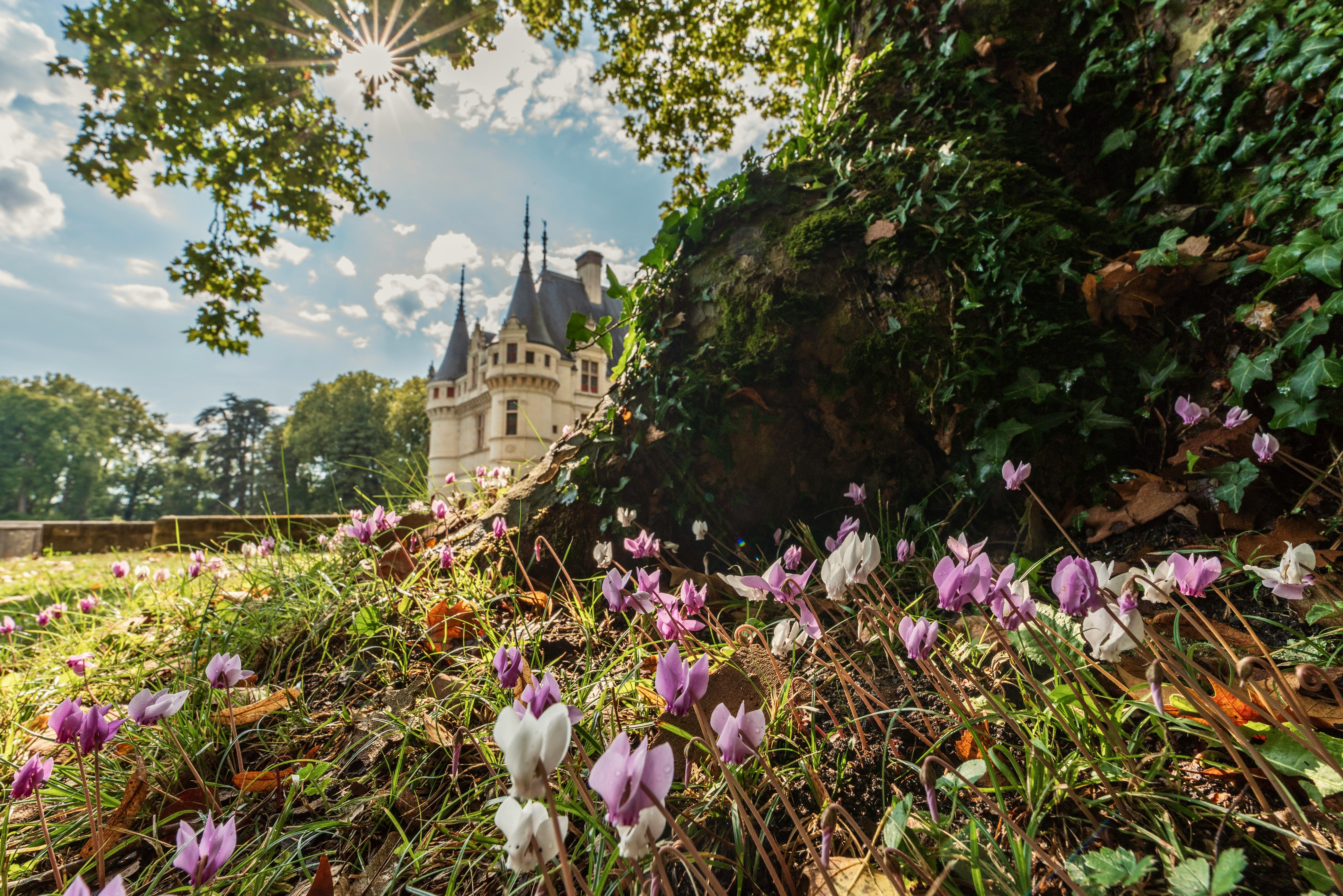 Ch&acirc;teau Exploration: From Azay-le-Rideau to Chenonceau