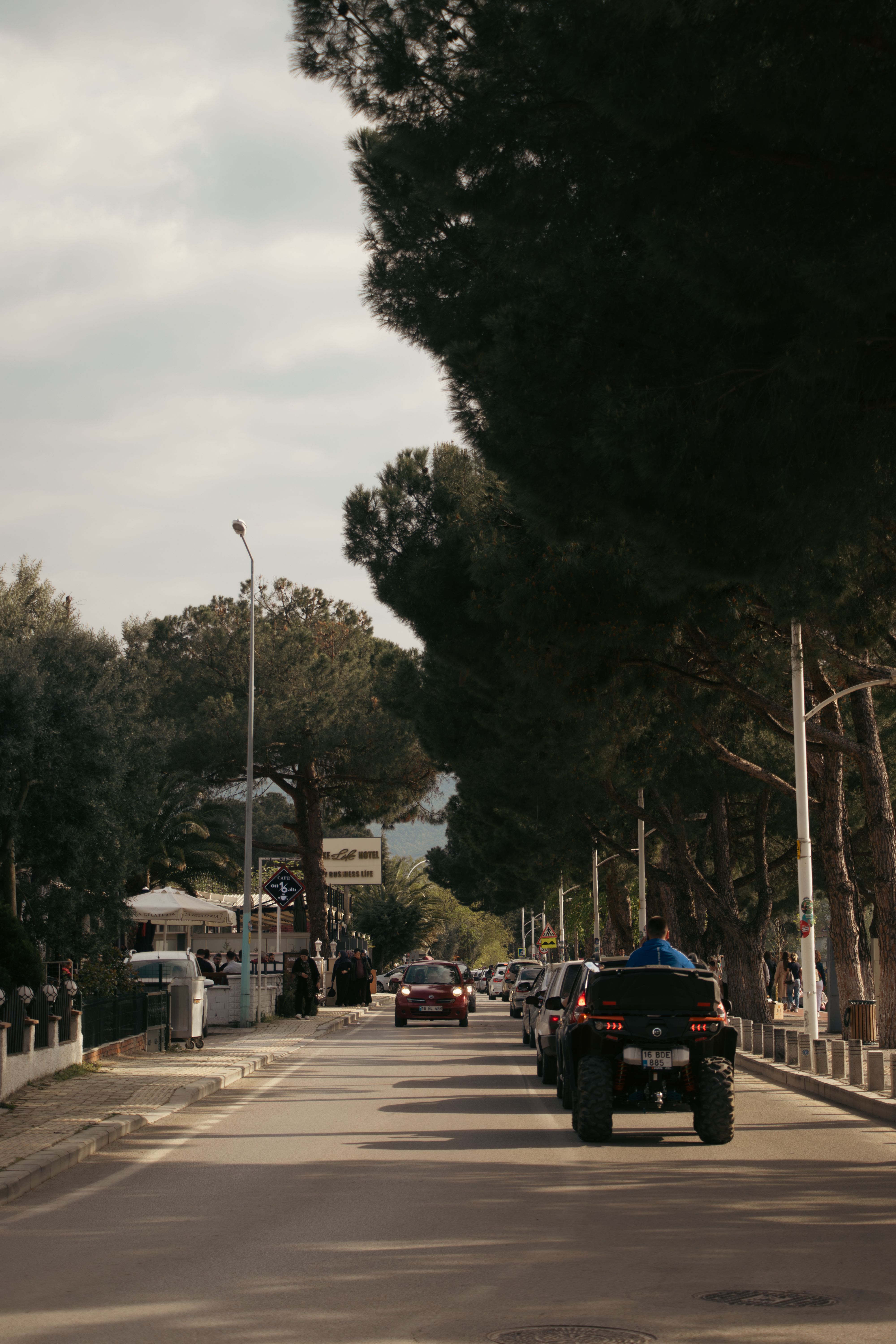 Urban Street View with Cars and Trees · Free Stock Photo