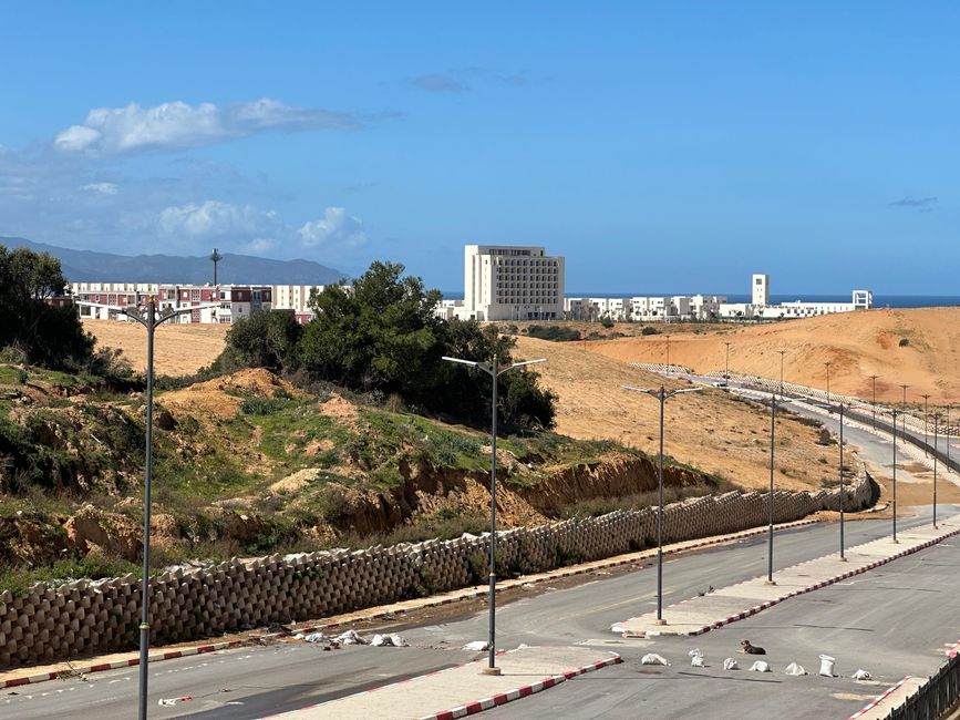 Trouver un Travail a Alger en 2026 : Strategies et Secteurs Porteurs