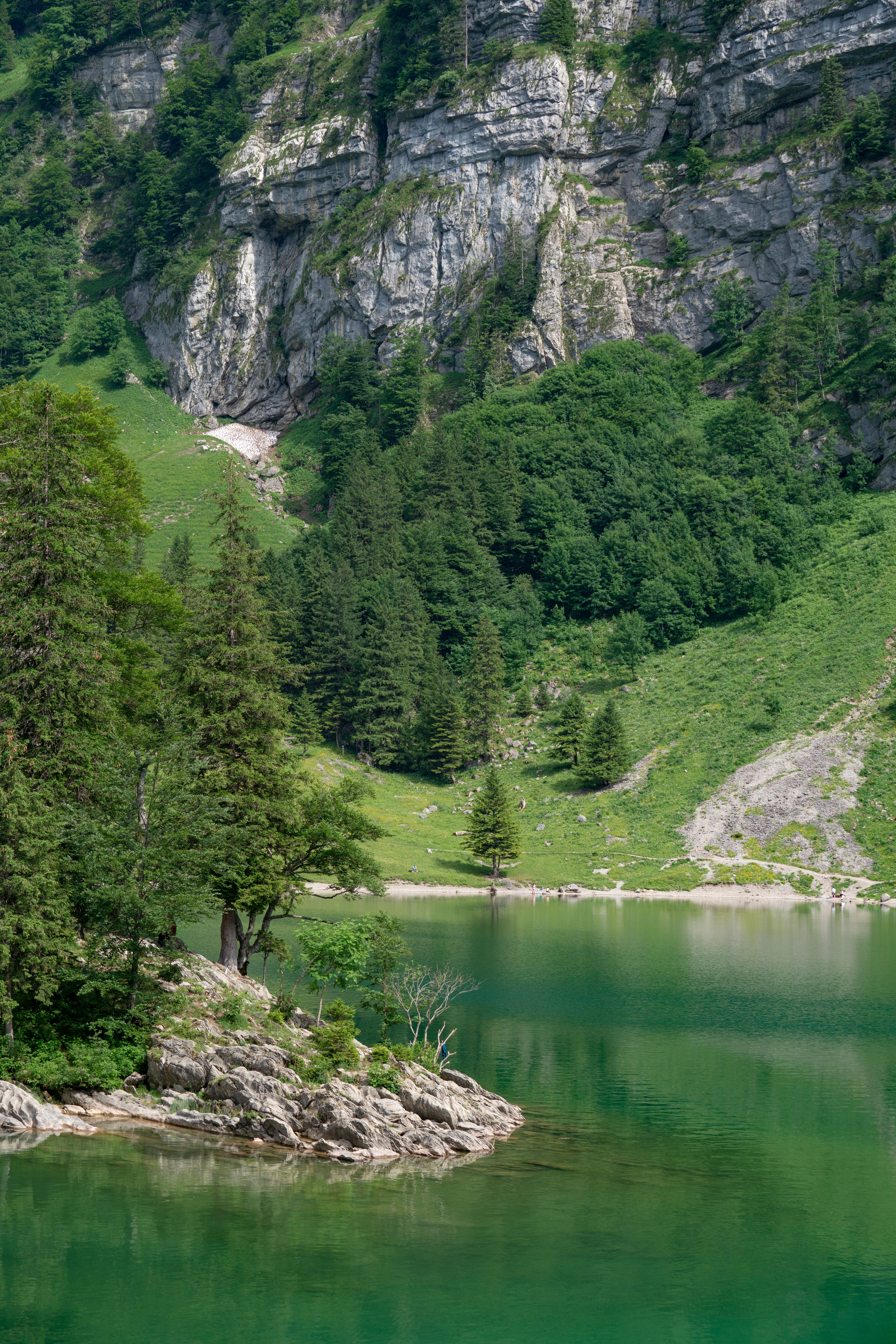 Scenic Alpine Lake with Lush Greenery and Mountains · Free Stock Photo