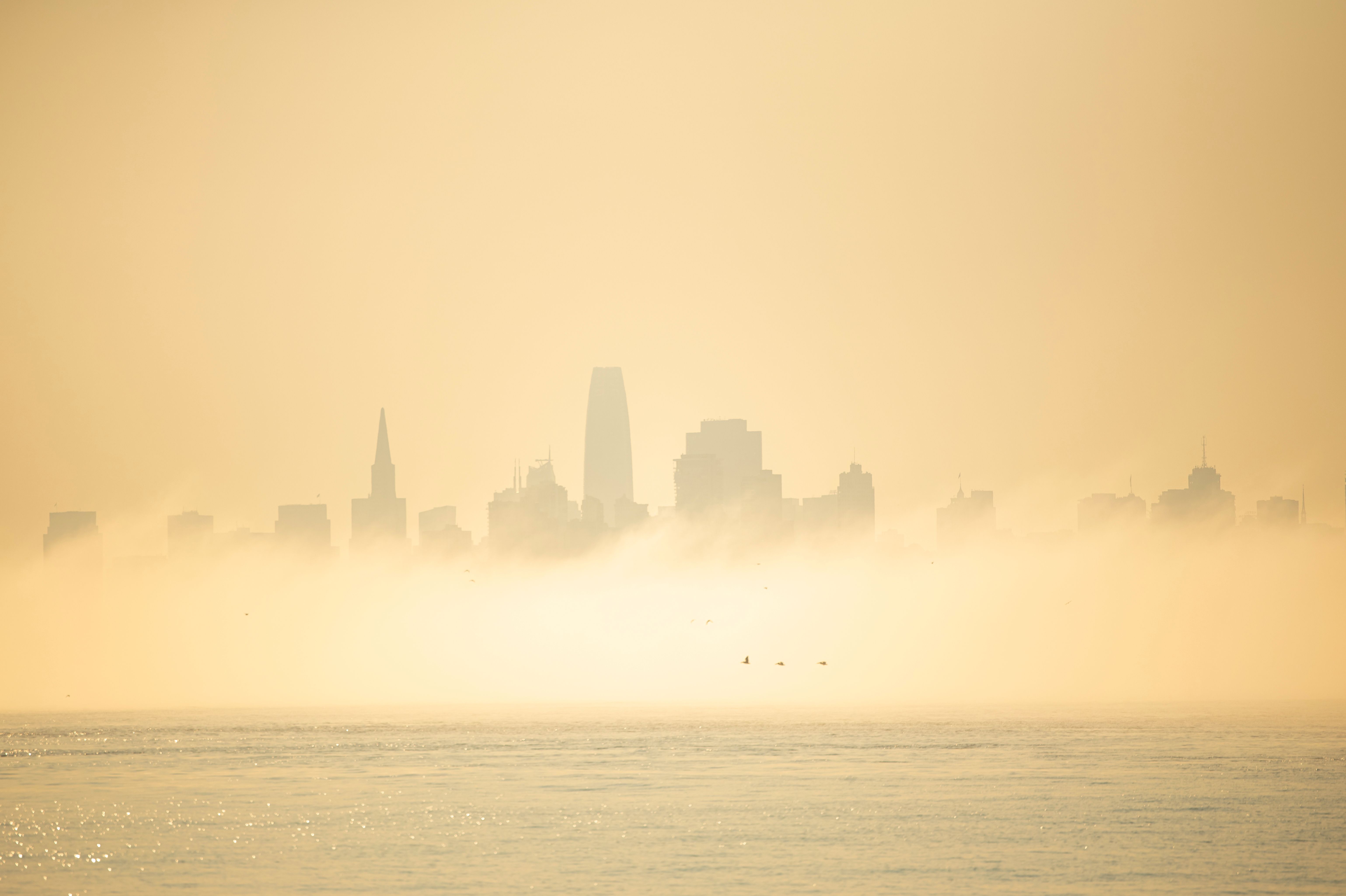 A breathtaking view of the San Francisco skyline enveloped in mist during sunrise.