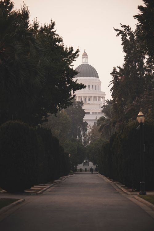 Free A beautiful view of a historic dome building amidst lush greenery on a calm day. Stock Photo