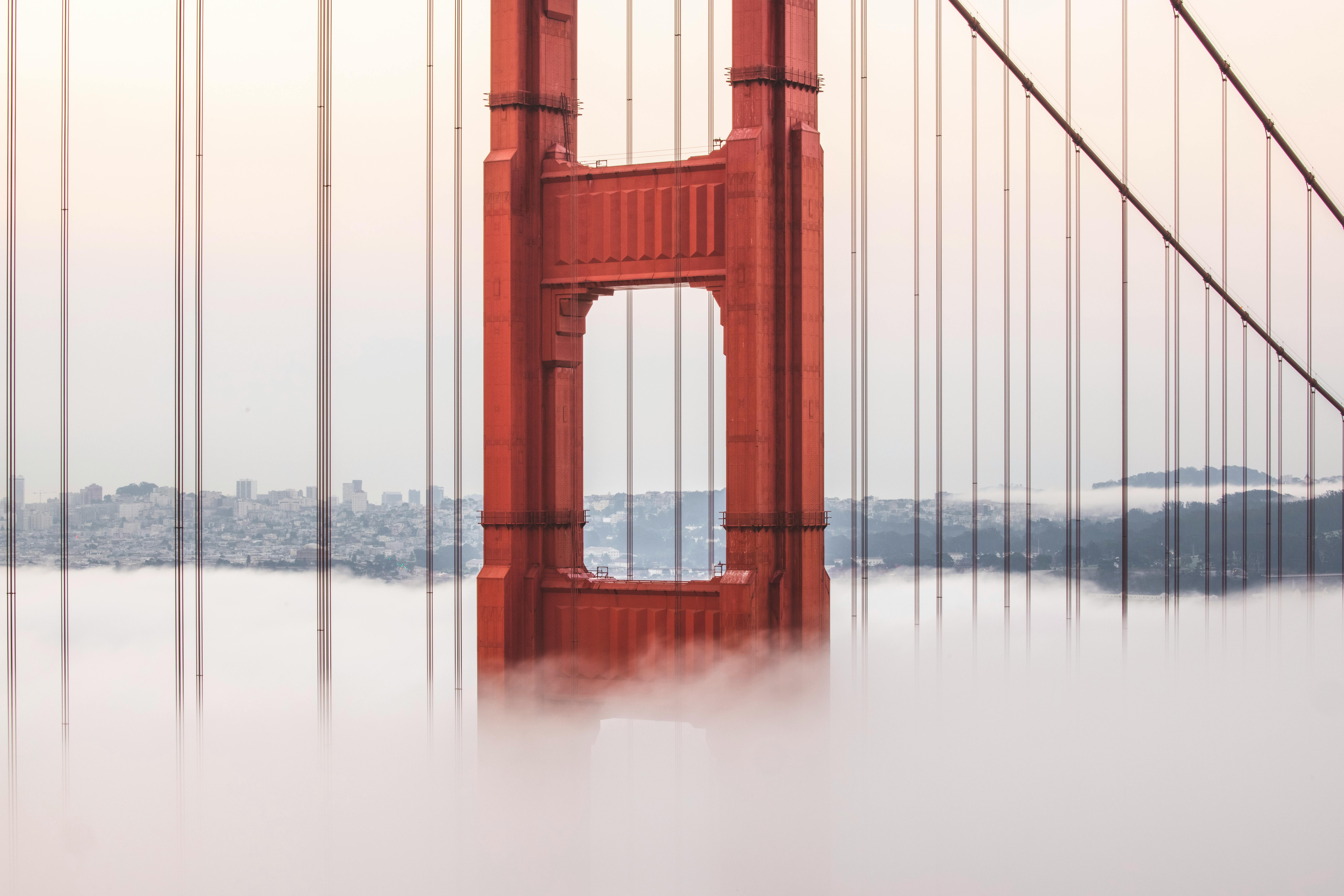 The Best Immigration Attorneys in the Bay Area | Local Recommendations for Best Immigration &amp; Asylum Lawyers — Photo by S