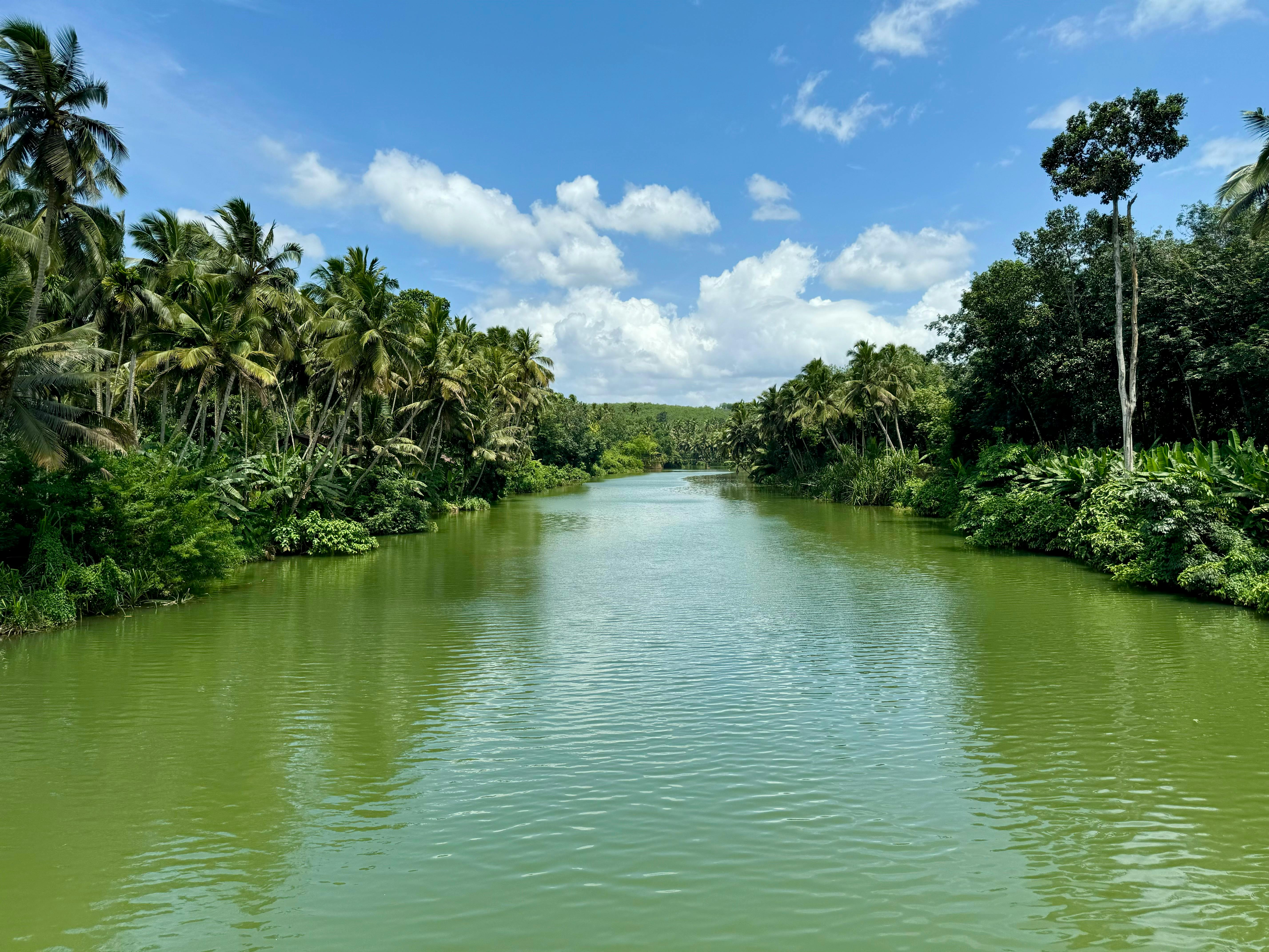A serene river flowing through lush greenery under a bright blue sky in Kerala, India.