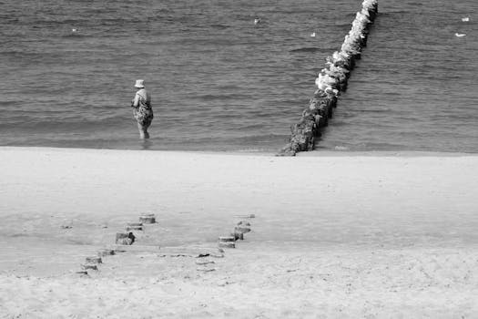 A serene black and white beach scene featuring a woman near the shore and birds perched on rocks.